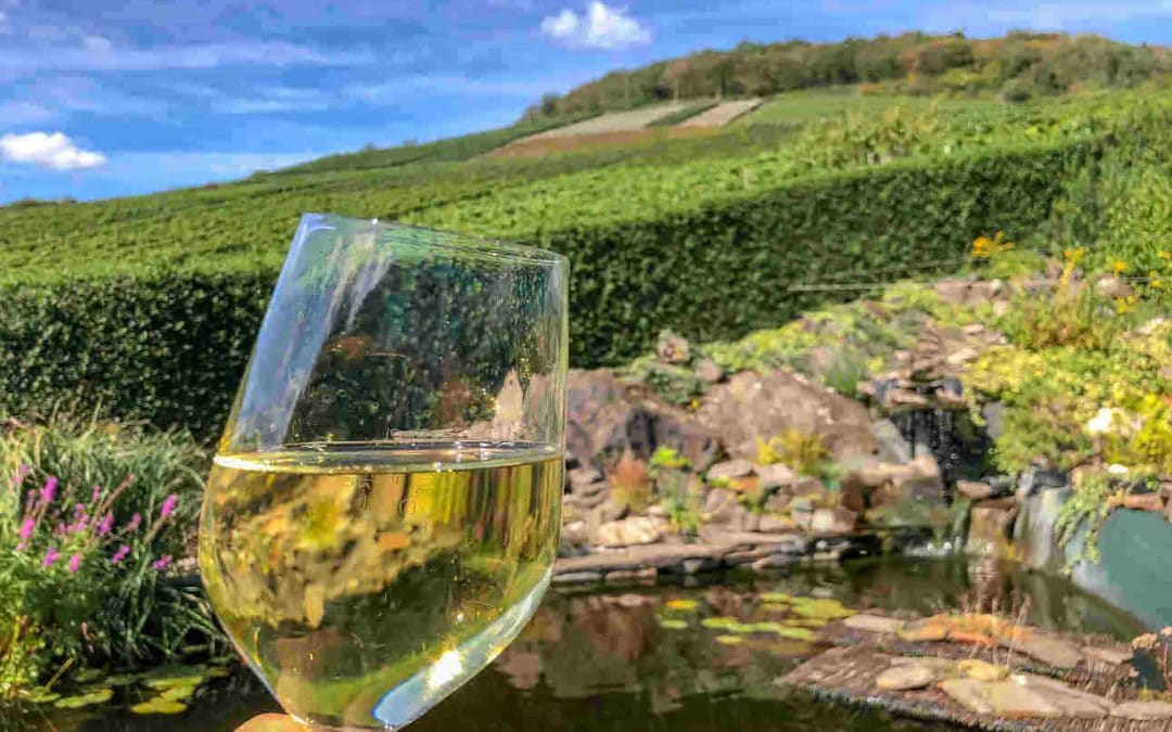 La Champagne: tra deliziosi vigneti francesi