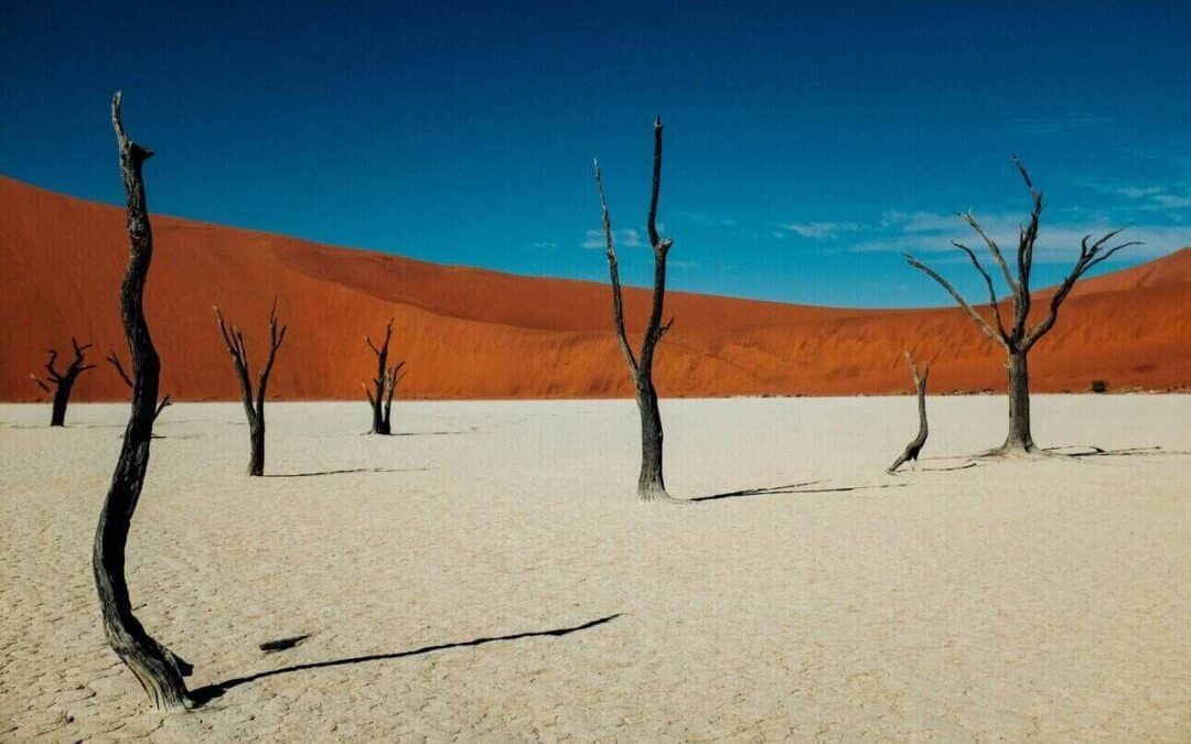 I paesaggi mozzafiato della Namibia