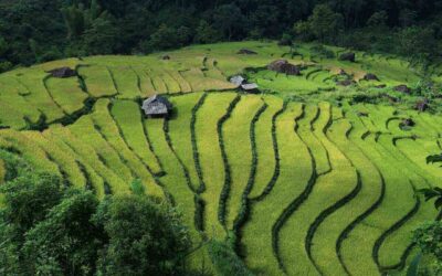 Vietnam autentico: tour completo da Sud a Nord