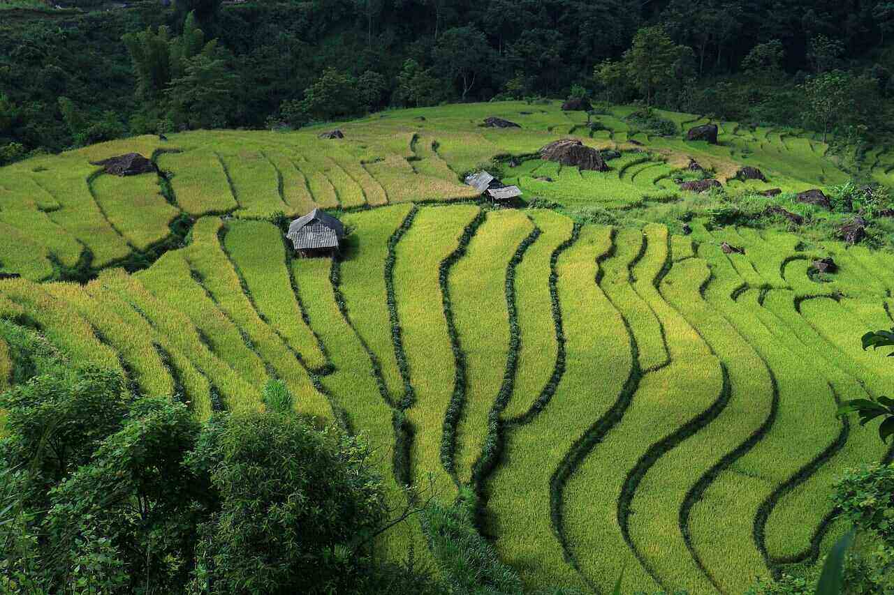 rsz_1landscape-5104510_1280 vietnam