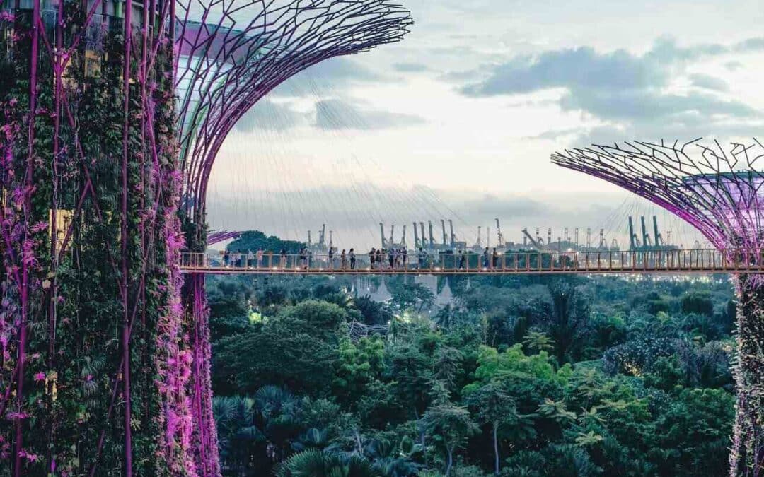 Singapore: il Futuro tra Tradizione e Innovazione