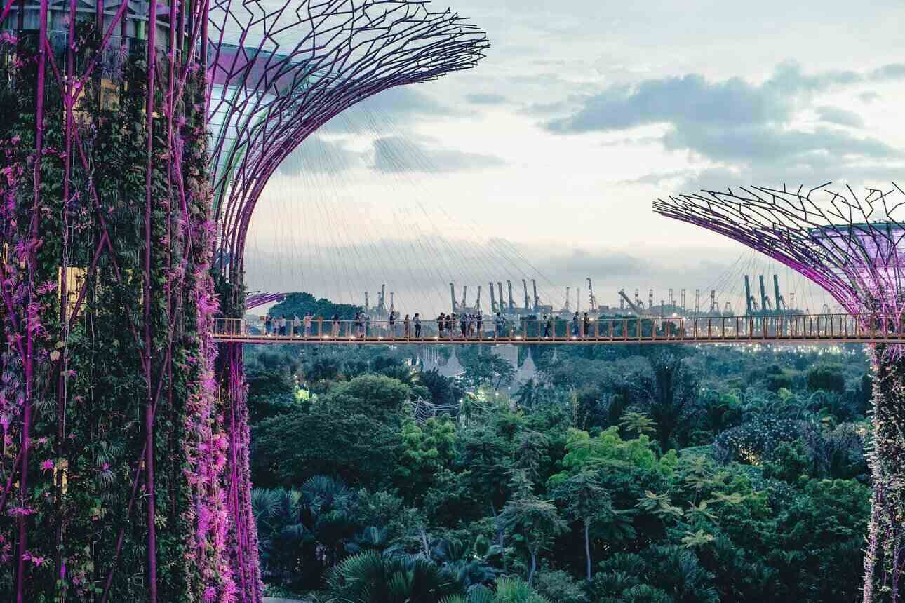 Viaggio a Singapore